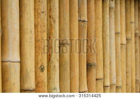 The Bamboo Fence Texture Background In Thailand.