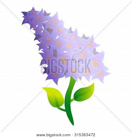 Sunny Lilac Icon. Cartoon Of Sunny Lilac Vector Icon For Web Design Isolated On White Background