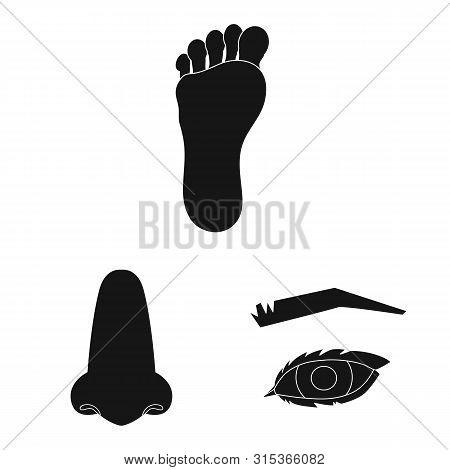 Vector Design Of Body And Part Symbol. Collection Of Body And Anatomy Stock Symbol For Web.