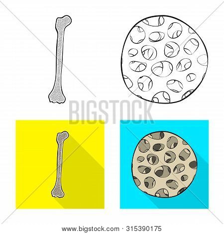 Vector Illustration Of Medicine And Clinic Icon. Set Of Medicine And Medical Vector Icon For Stock.