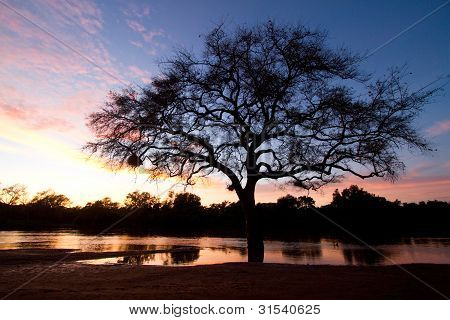 Limpopo River