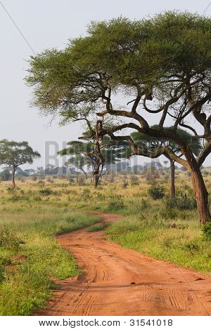 Tarangire Road