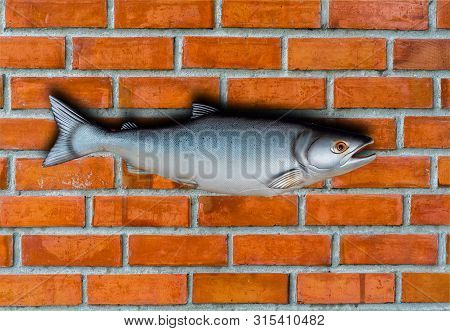 Seaweed Fish Isolated On A White Background