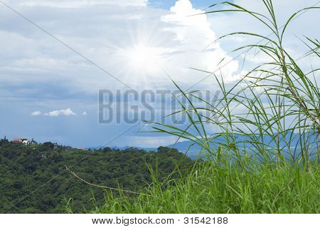 Tagaytay natur