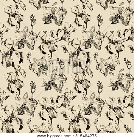 Floral Seamless Pattern With Hand Drawn Ink Iris And Orchid Flowers On Beige Background. Flowers Lin
