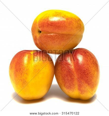 Several Apricots Beautifully Laid On A White Background