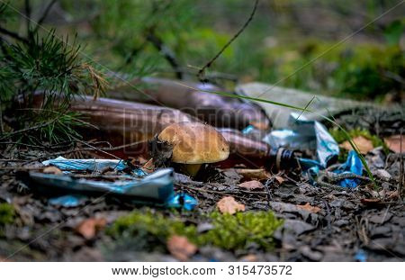 Destruction Of Nature. White Mushroom Grows In A Landfill Of Toxic Household Garbage In The Forest