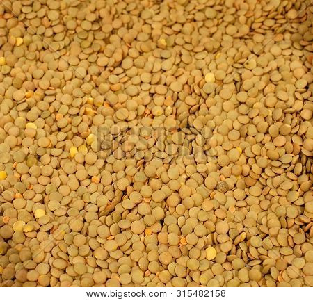 Solid Pea Grits Texture. Continuous Repeating Bean Background