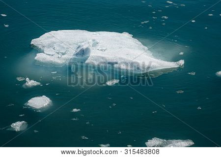 Ice Chunks Floating In The Aialik Bay Broken Off From The Aialik Glacier In Kenai Fjords National Pa