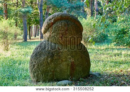 Petrified Ammonite That Looks Like An Alien Resident.