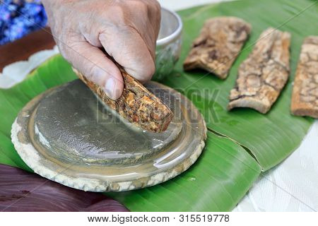 Thanaka Herb Bark Scrubbing On Kyauk Pyin Stone Slab . Thanaka Is A Popular Cosmetic Paste Made From