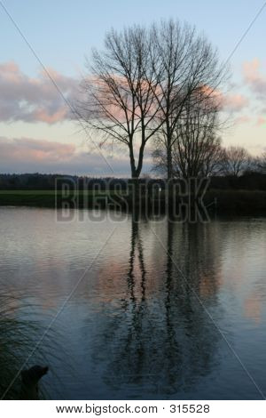Řeka Reflections 5