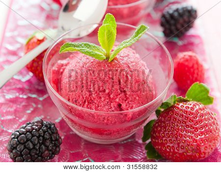 Fresco sorbetto gelato