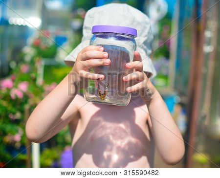Summer, A Boy In Panama Caught A Butterfly In A Jar Soft Focus