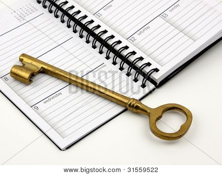 Kultainen avain päivittäin Planner