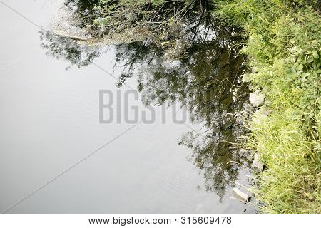 River Side With Green Small Plants Macro Background Fine Art High Quality Prints Products Fifty Mega