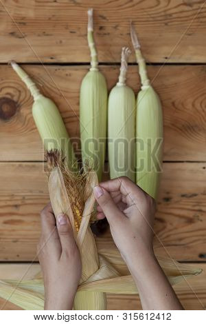 Young Female Cleaning Freshly Picked Raw Corns From Cobs On Wooden Background. Process Of Shucking C
