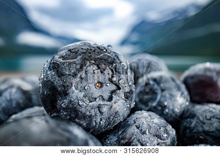 Blueberry antioxidants on a wooden table on a background of Norwegian nature.