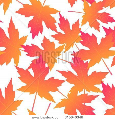Seamless Pattern With Colorful Maple Leaves In Flat Style. Vector Illustration On White Background