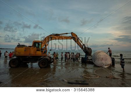  Mui Ne beach, Vietnam. 29 may 2019. The Beached blue whale (scientific name: Balaenoptera musculus) was found deaded in the waters of South China Sea and was pulled out by a crowd of people 