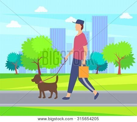 Person With Dog On Lead Walking In City Park Among Skyscrapers, Green Trees And Bushes. Vector Man I