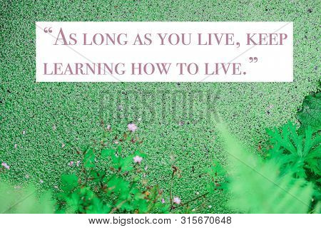 Wise quote by ancient Roman stoic philosopher Seneca against nature background