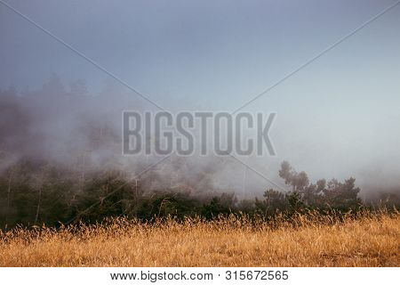 Ai-petri Mountain In The Fog. High Mountain. Crimea. Russian Mountains. Low Clouds. Beautiful Mounta