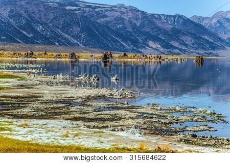 Picturesque Mono Lake with lime-tuff towers in California, USA. Many birds feed on the shores of Mono Lake. Evening by the lake. The concept of active, ecological and photo tourism