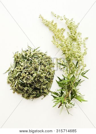 Sagebrush On White