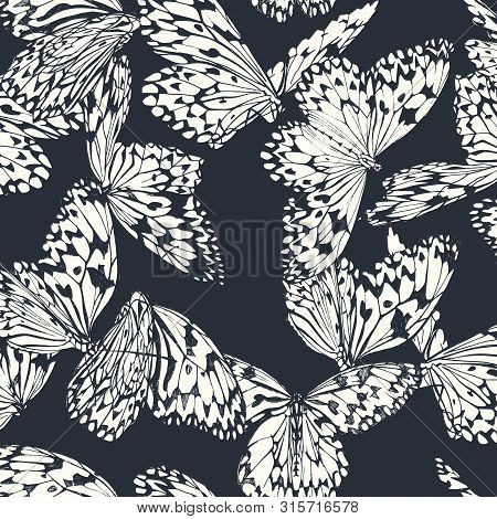 Butterfly Seamless Pattern In Black And White On Deep Blue Background. Tropical Paradise