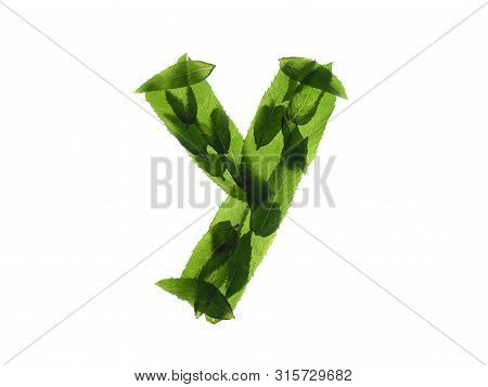 English Alphabet Made Of A Mint Leaves Isolated On White Background.