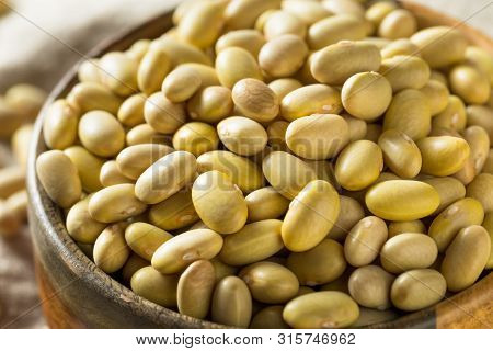 Dry Organic Yellow Mayocoba Beans