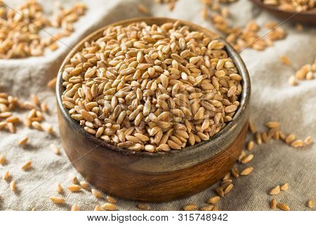 Raw Organic Farro Grain