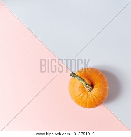 Pumpkin on Dual Color Pastel Background. Autumn Concep Layout. Top View. Copy Space