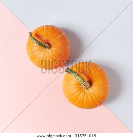 Pumpkin on Dual Color Pastel Background. Autumn Concep Layout. Top View. Copy Space