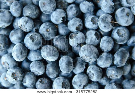 Fresh Blueberry Close Up  With Close Up Texture