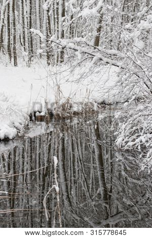 Bavarian Winter Landscape Next Next To Schwandorf, Charlottenhofer Weihergebiet