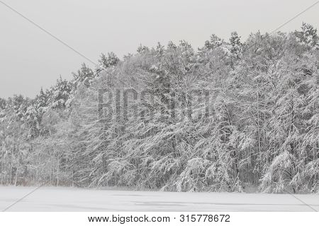 Bavarian Winter Landscape Next Next To Schwandorf, Charlottenhofer Weihergebiet