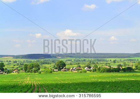 Russian Village In Summer, View Of The Russian Tradtional Country Houses In Landscape