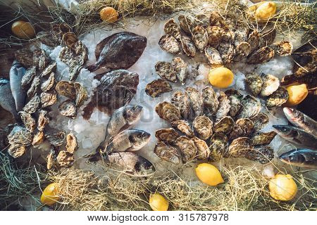 Oysters And Other Seafood On Ice On The Shop Counter.