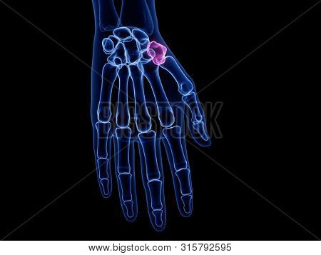3d rendered medically accurate illustration of the trapezium bone