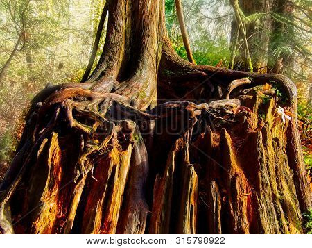 Goldstream Park