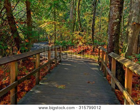 Goldstream Park