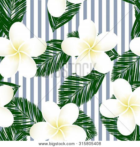 Seamless Striped Vector Tropical Pattern. Plumeria, Frangipani.