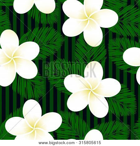 Seamless Striped Vector Tropical Pattern. Plumeria, Frangipani.