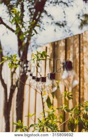 Trendy Globe String Lights Outdoor Hanging From Trees In Private Garden