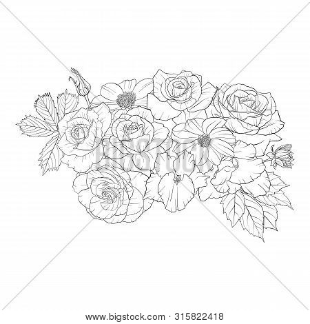 Vector Drawing Flowers, Decorative Rosette, Stylized Designtemplate, Isolated Floral Element, Hand D