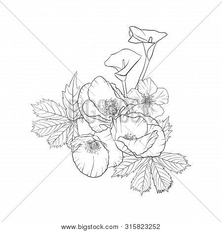 Vector Drawing Flowers, Decorative Rosette, Stylized Designtemplate, Isolated Floral Element, Hand D