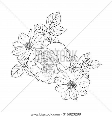 Vector Drawing Flowers, Decorative Rosette, Stylized Designtemplate, Isolated Floral Element, Hand D