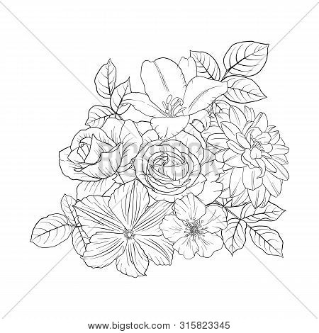 Vector Drawing Flowers, Decorative Rosette, Stylized Designtemplate, Isolated Floral Element, Hand D